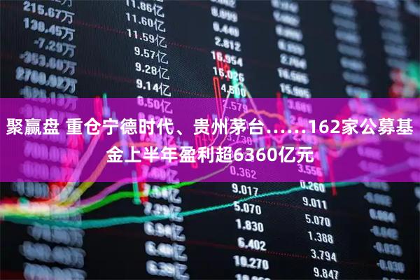 聚赢盘 重仓宁德时代、贵州茅台……162家公募基金上半年盈利超6360亿元