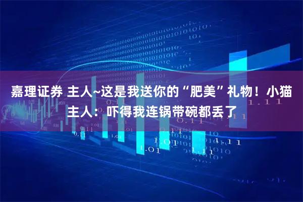 嘉理证券 主人~这是我送你的“肥美”礼物！小猫主人：吓得我连锅带碗都丢了