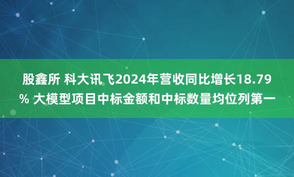 股鑫所 科大讯飞2024年营收同比增长18.79% 大模型项目中标金额和中标数量均位列第一
