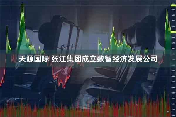 天源国际 张江集团成立数智经济发展公司