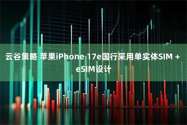 云谷策略 苹果iPhone 17e国行采用单实体SIM + eSIM设计